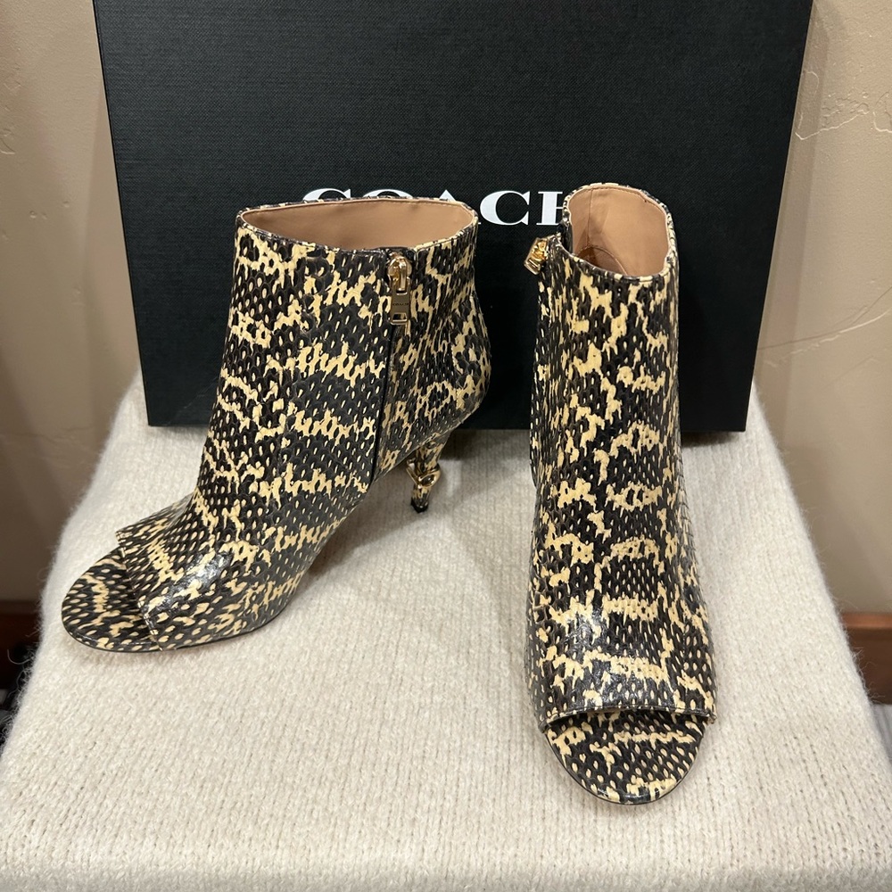 Coach Remi "Snake Bite" Bootie (Size 9) View 2